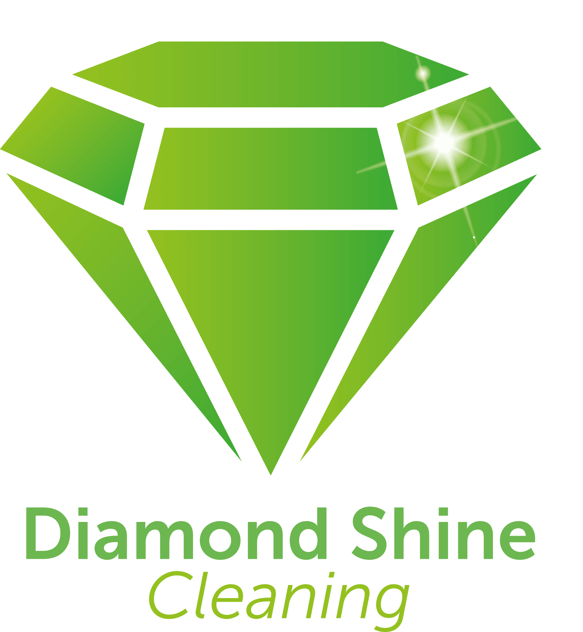 Diamond Shine Cleaning Logo Large